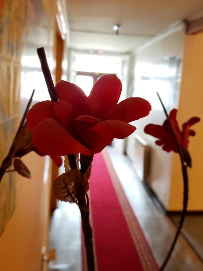 Hostal Torres Del Paine 2 プンタアレナス エクステリア 写真